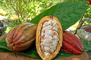 fig21