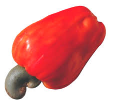 fig25
