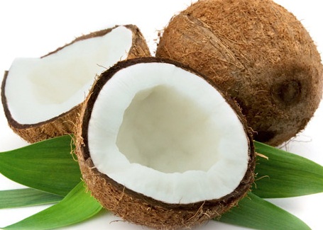 fig32.jpg