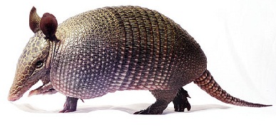 fig86